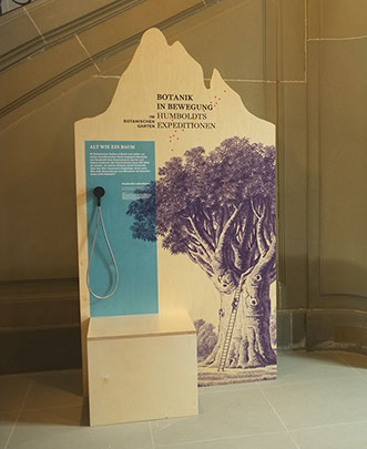 Botanischer Garten, Schweiz, Ausstellung, Szenografie, Bern, Ausstellungsgestaltung, Gestaltung, Raum, Konzept, Öffentlicher Raum, Humboldt